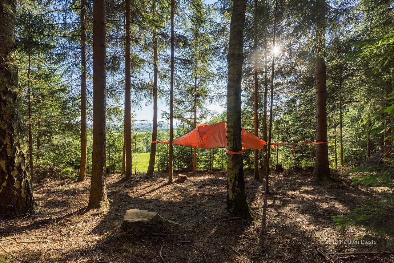 Zelt Am Waldesrand