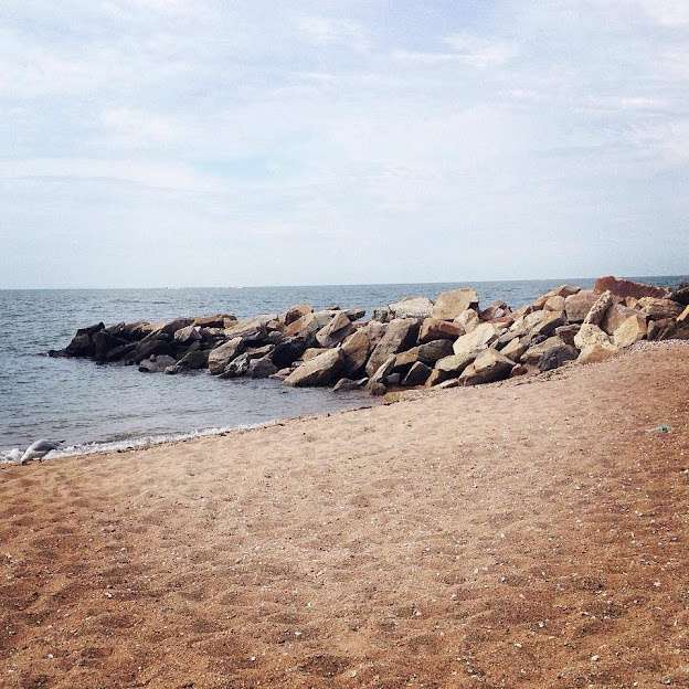 Beachside Farmhouse Studio on a Healing Farm, East Haven CT
