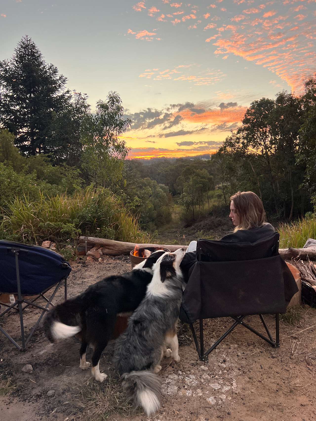 Hilltop Farm, Camping and Glamping.