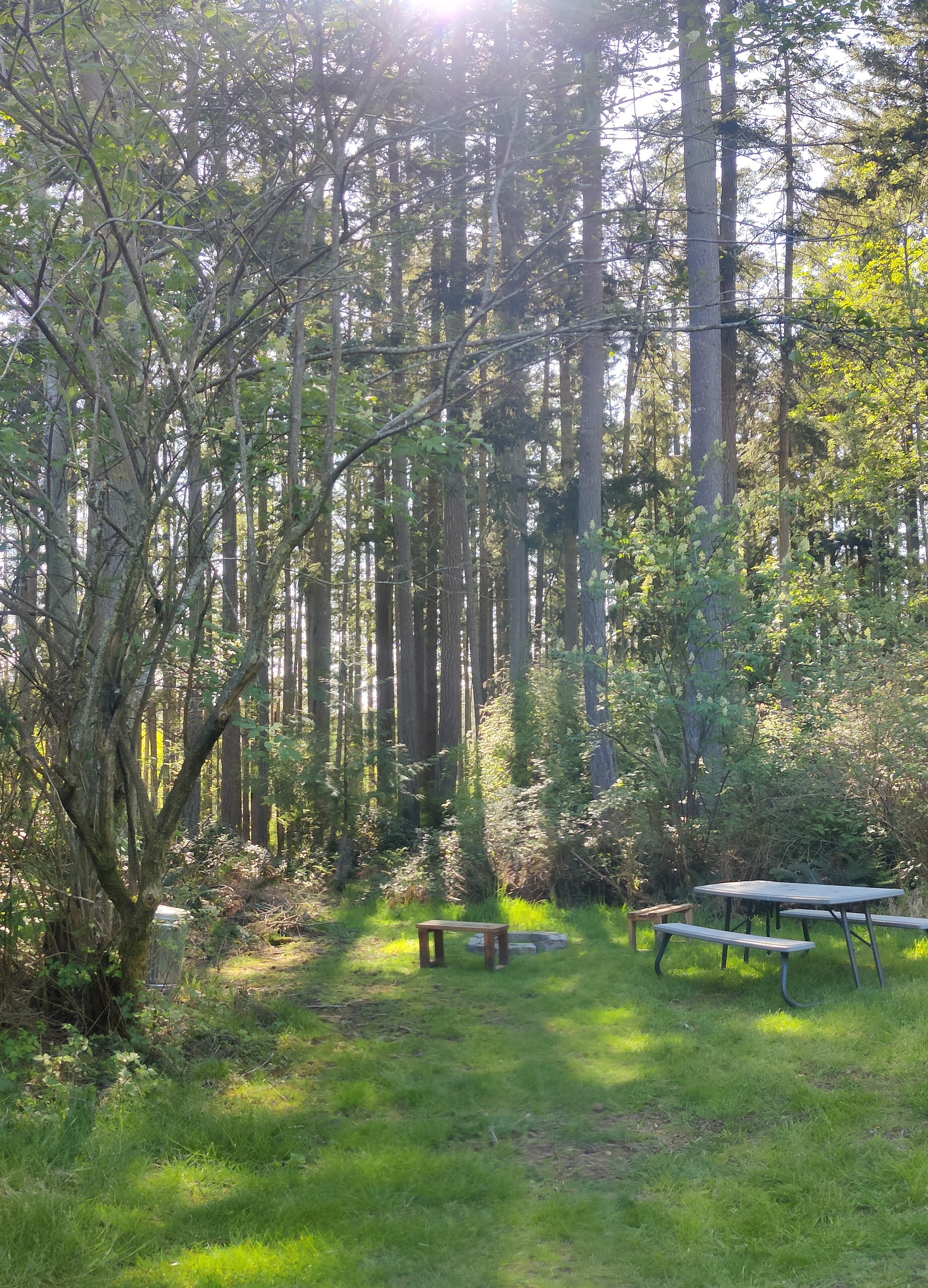 Hoypus Point Camp