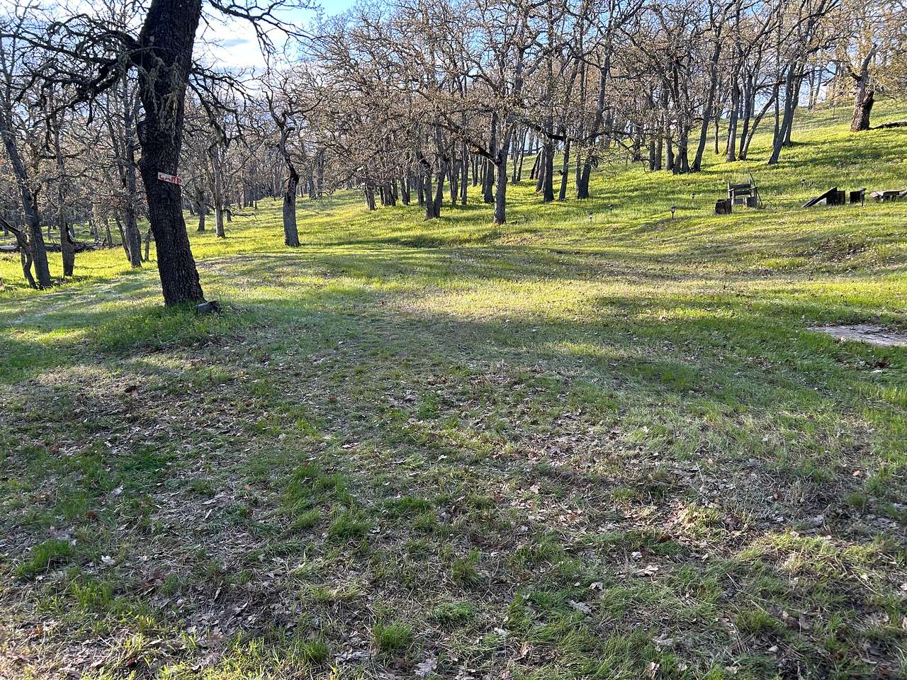 Site on your left when driving in; picture taken 6pm in April, it will be more shady in the summer; this is a pull in or back in site