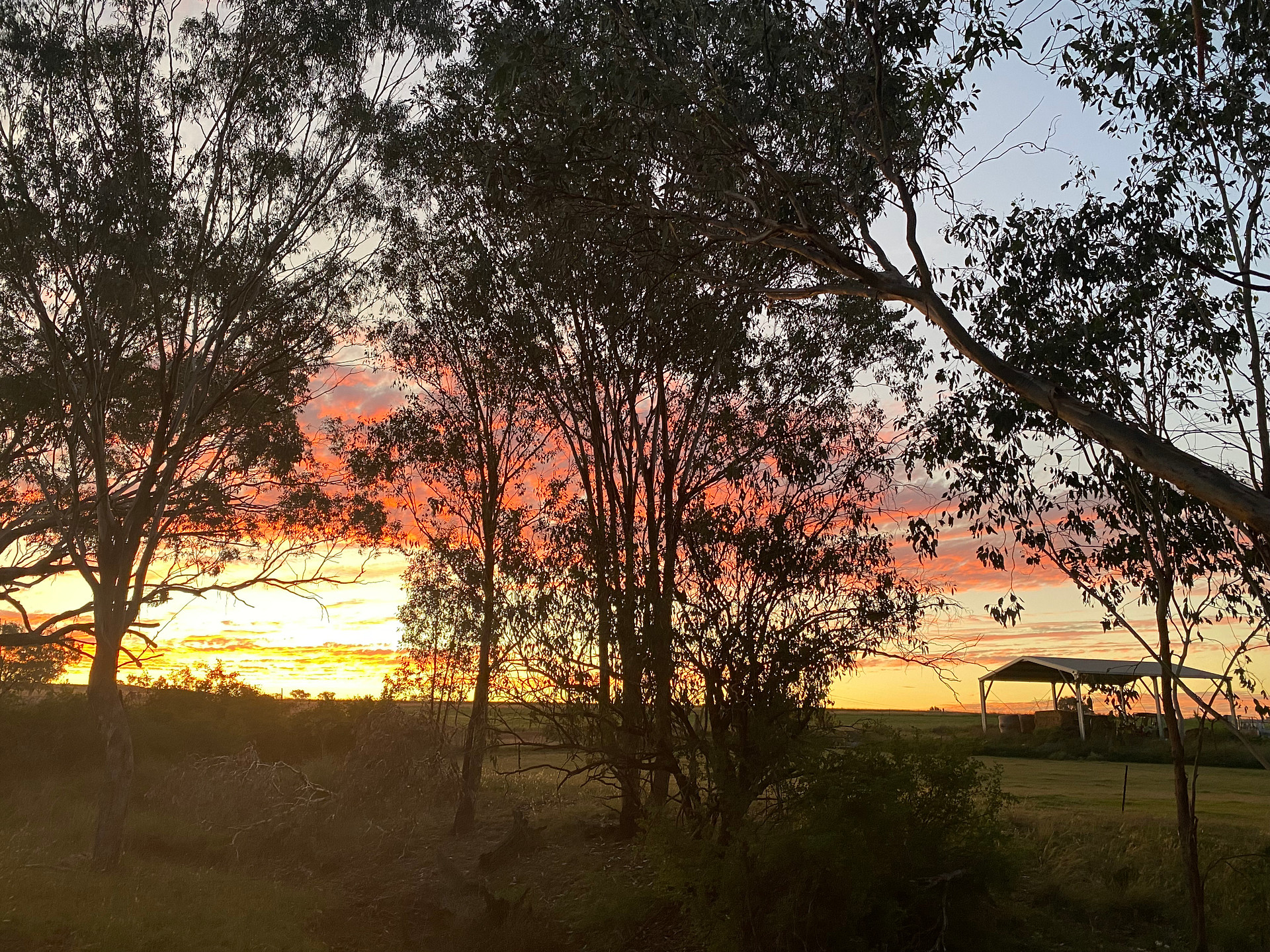 Ranjen Farm Stay