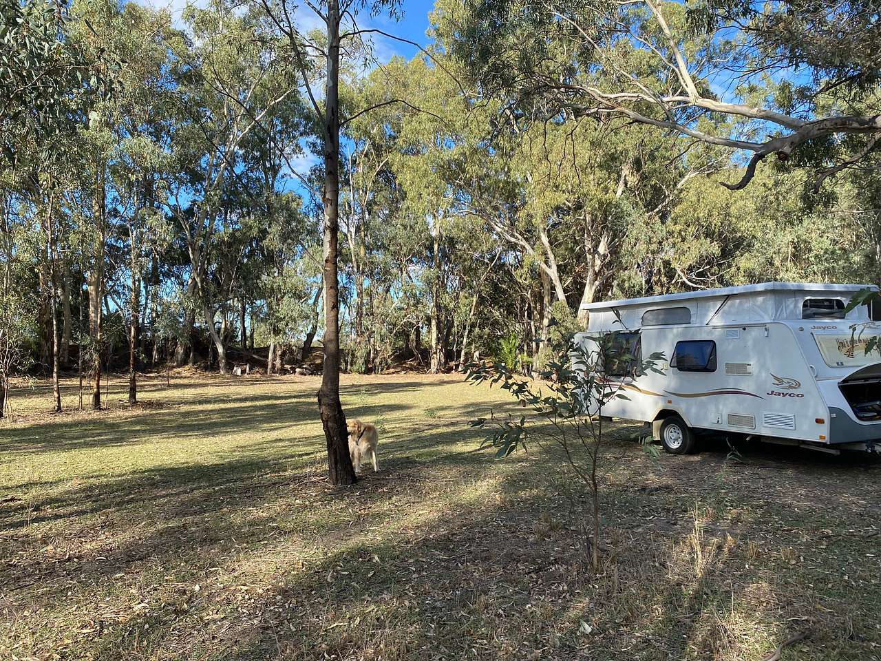 Amaroo On McLays