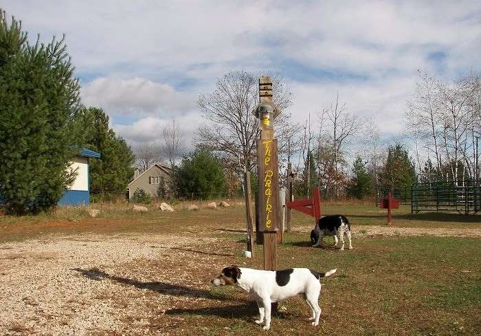 Spur of the Moment Ranch