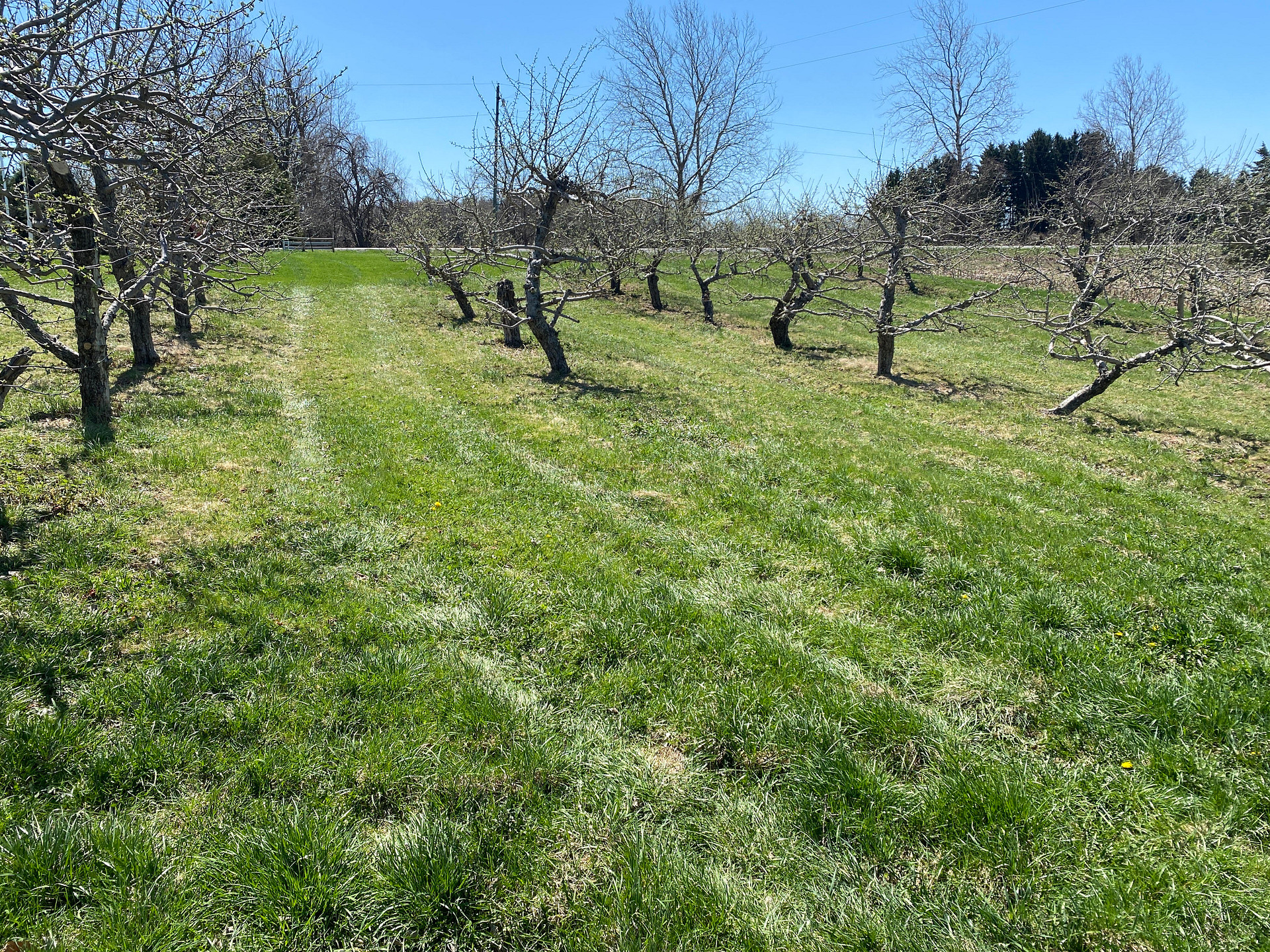 Farm Market Retreat