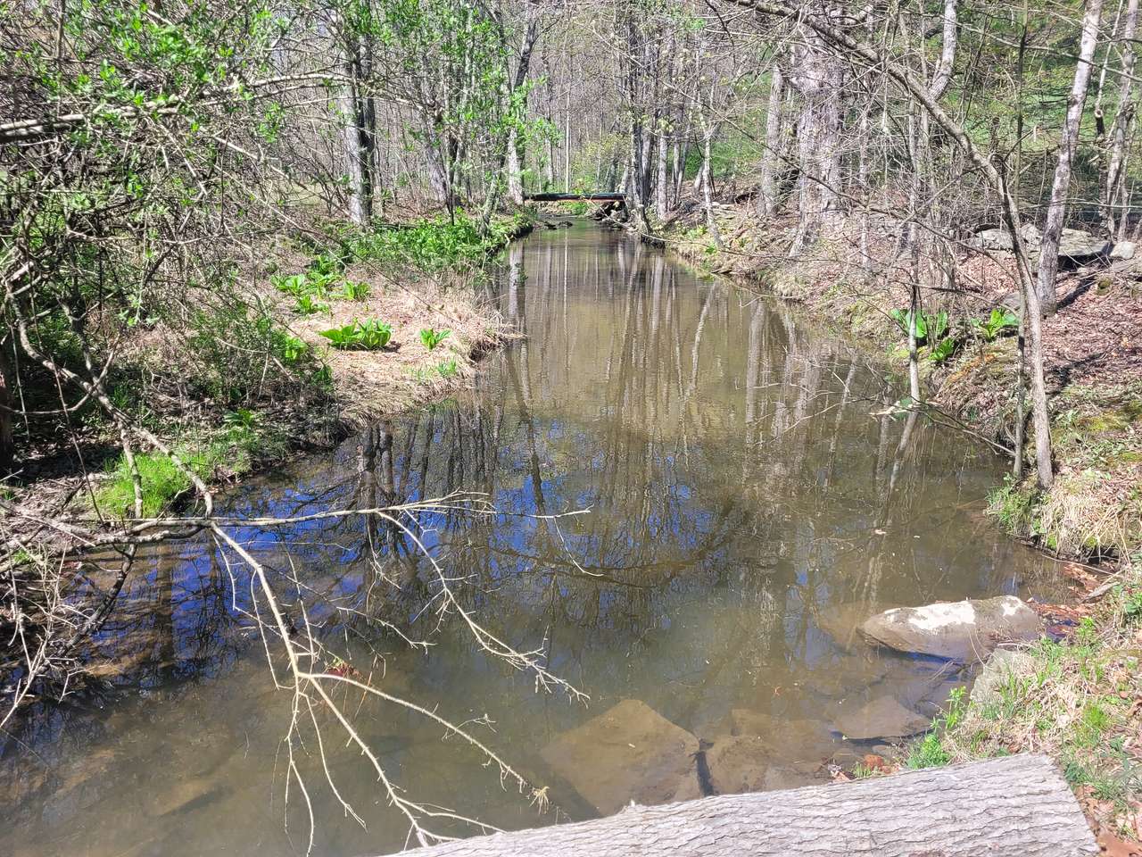 Reyburn Creek
