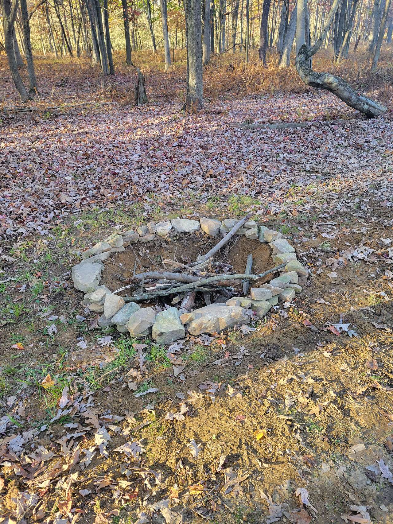Mountain Springs Farm