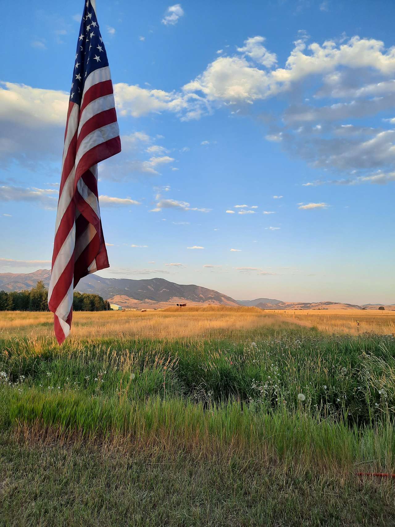 Creekside at Liberty Acres Bozeman