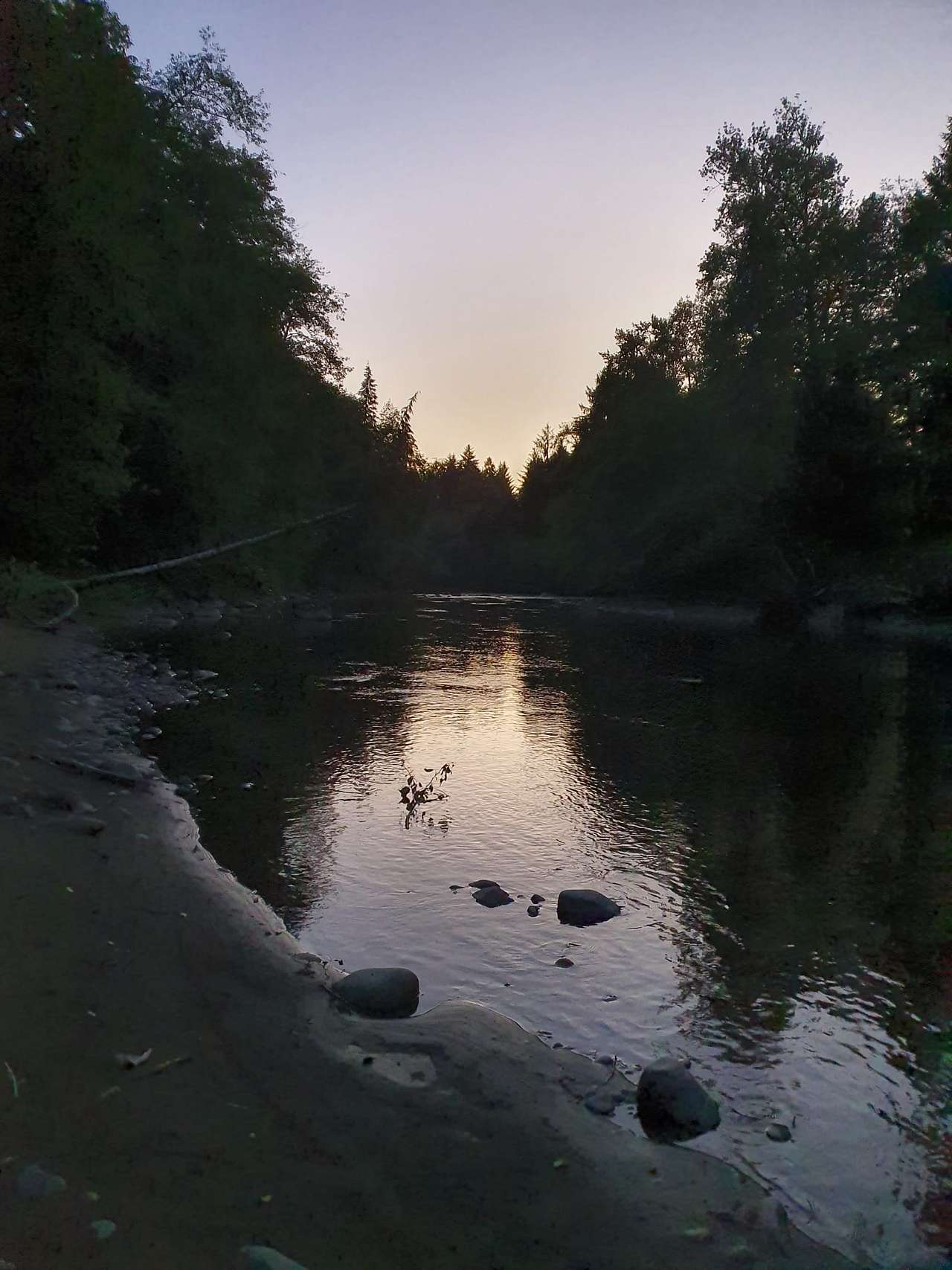 Bogachiel Upriver Campsites
