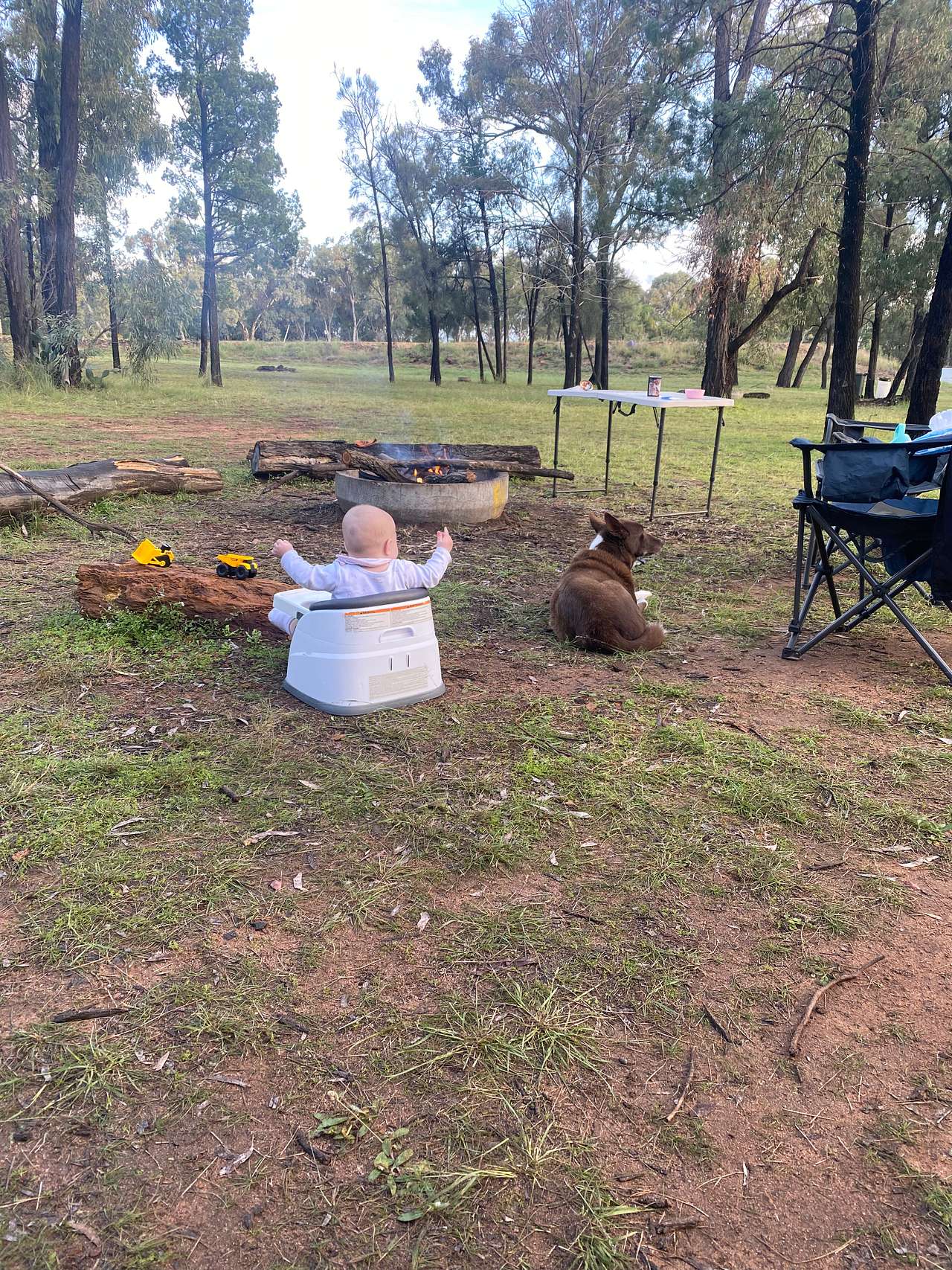 Narrabri Fish Farm