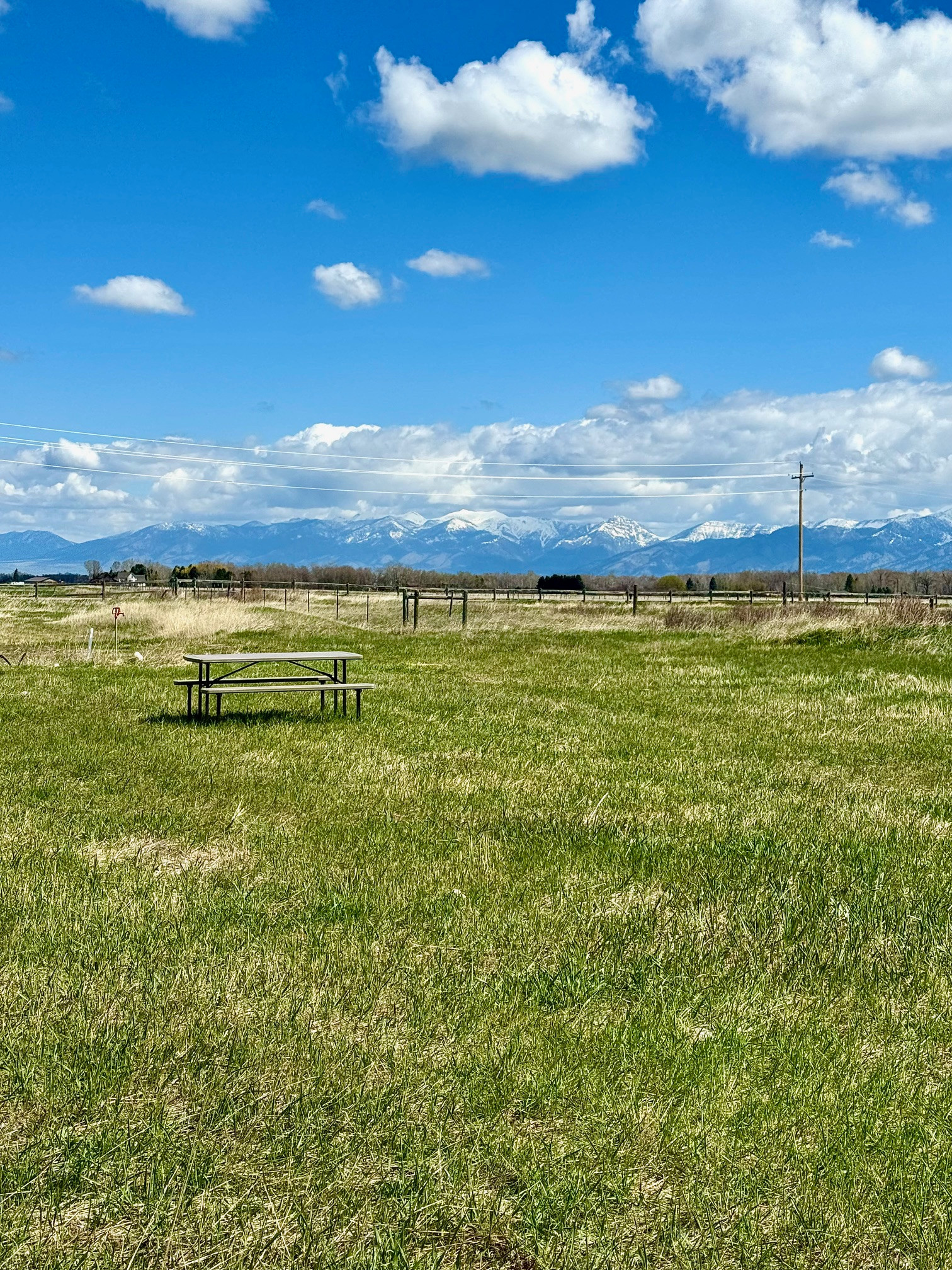 Cloud Nine Equine Ranch