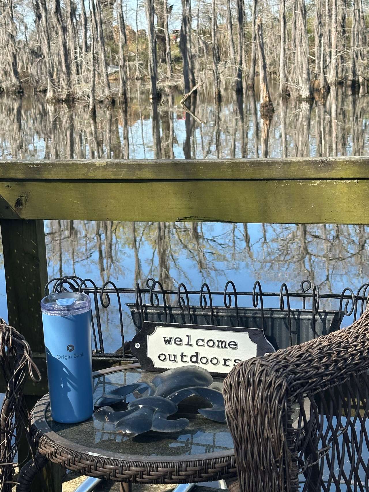 Bayou Views