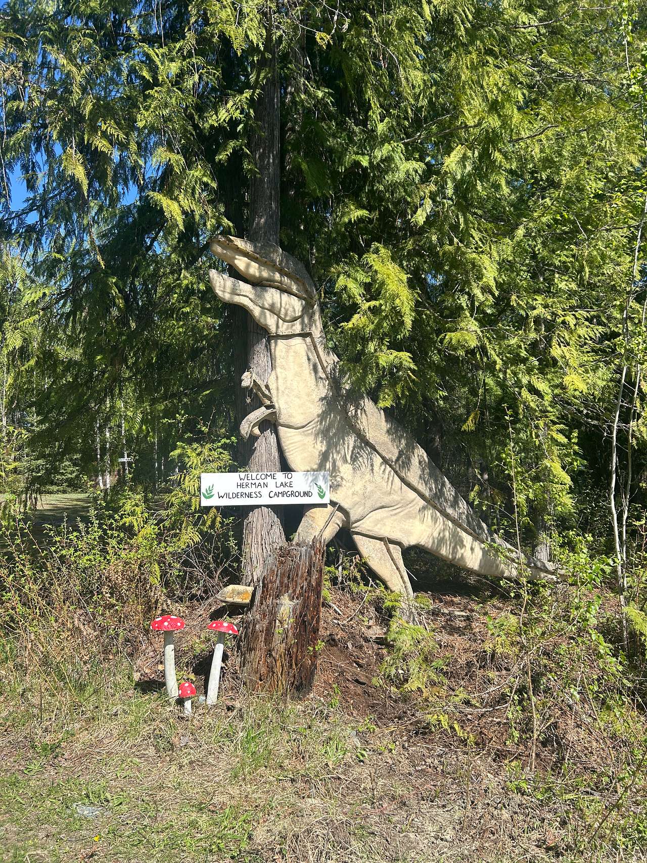 Herman Lake Wilderness Campground