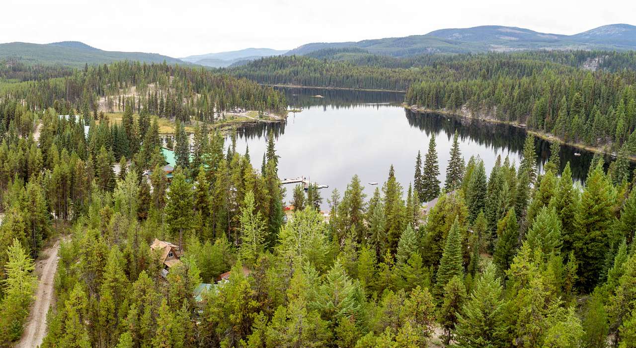 Idabel Lake - Old Growth escape