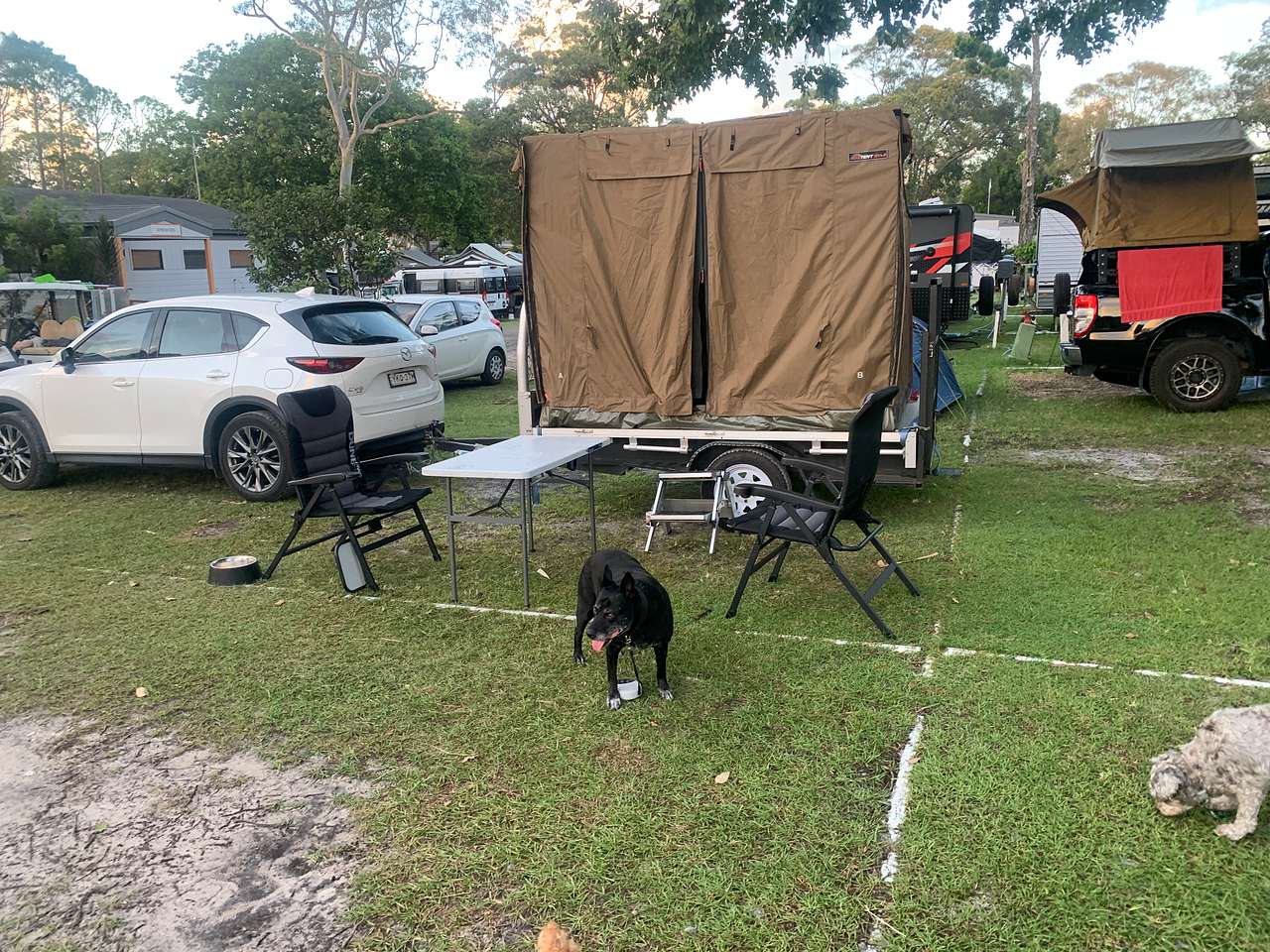 Pet friendly... we have 3 dogs