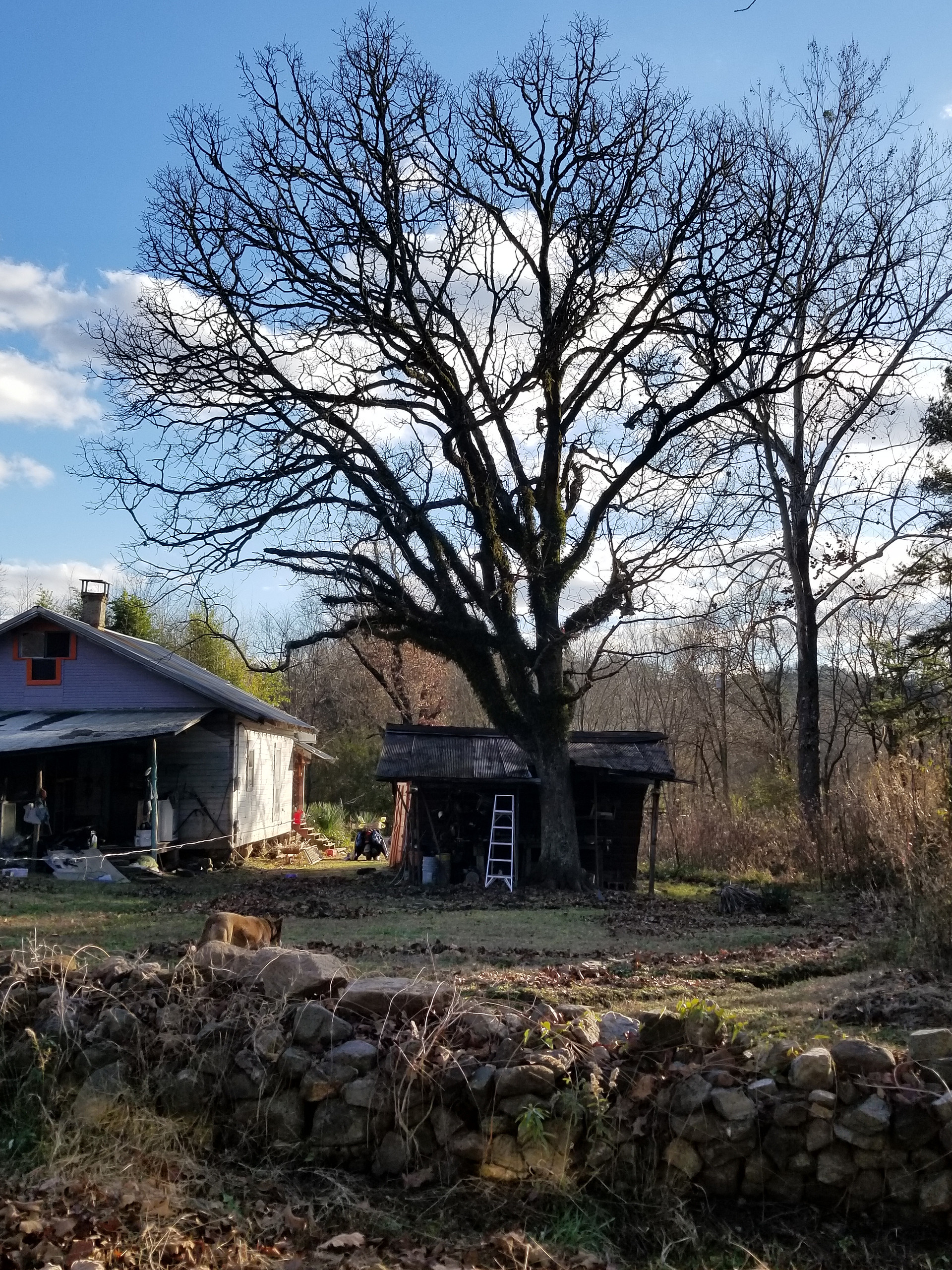 Womble Inn Of Solis Manor