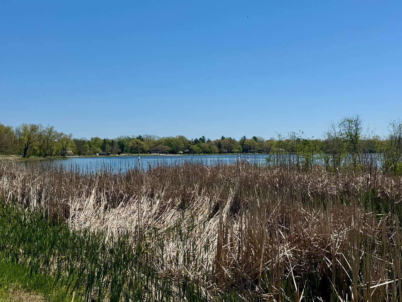 Lake across the road from site.