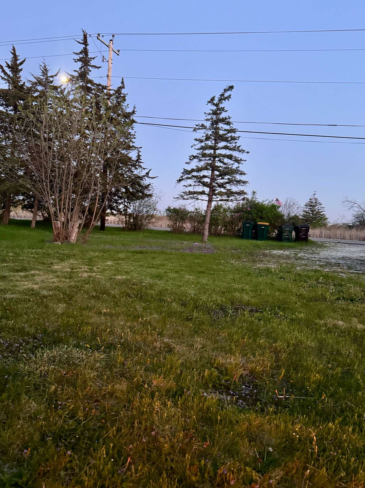 Grass Area open for tent.
