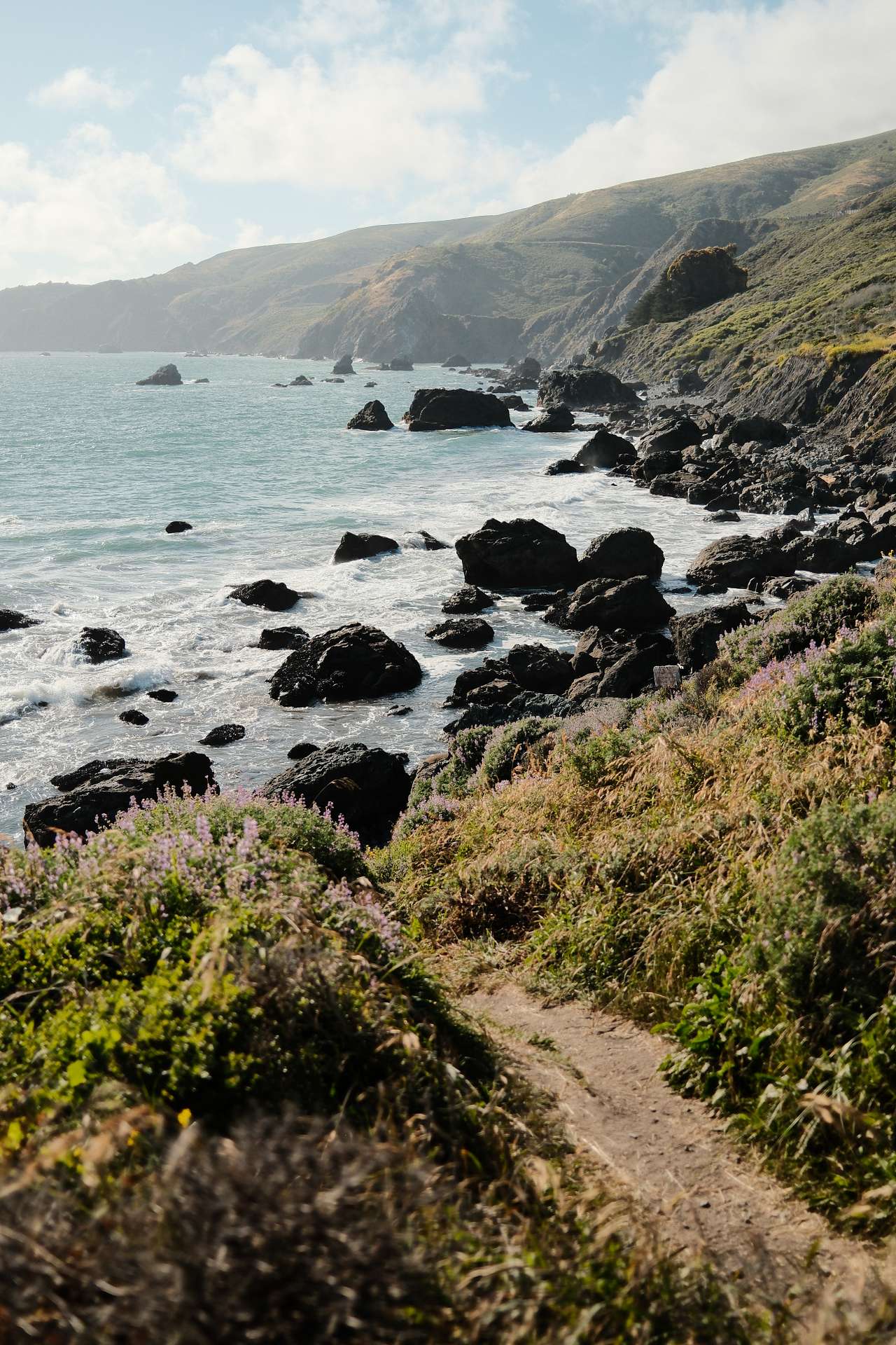 Trail to tide pools from the meadow campsite
