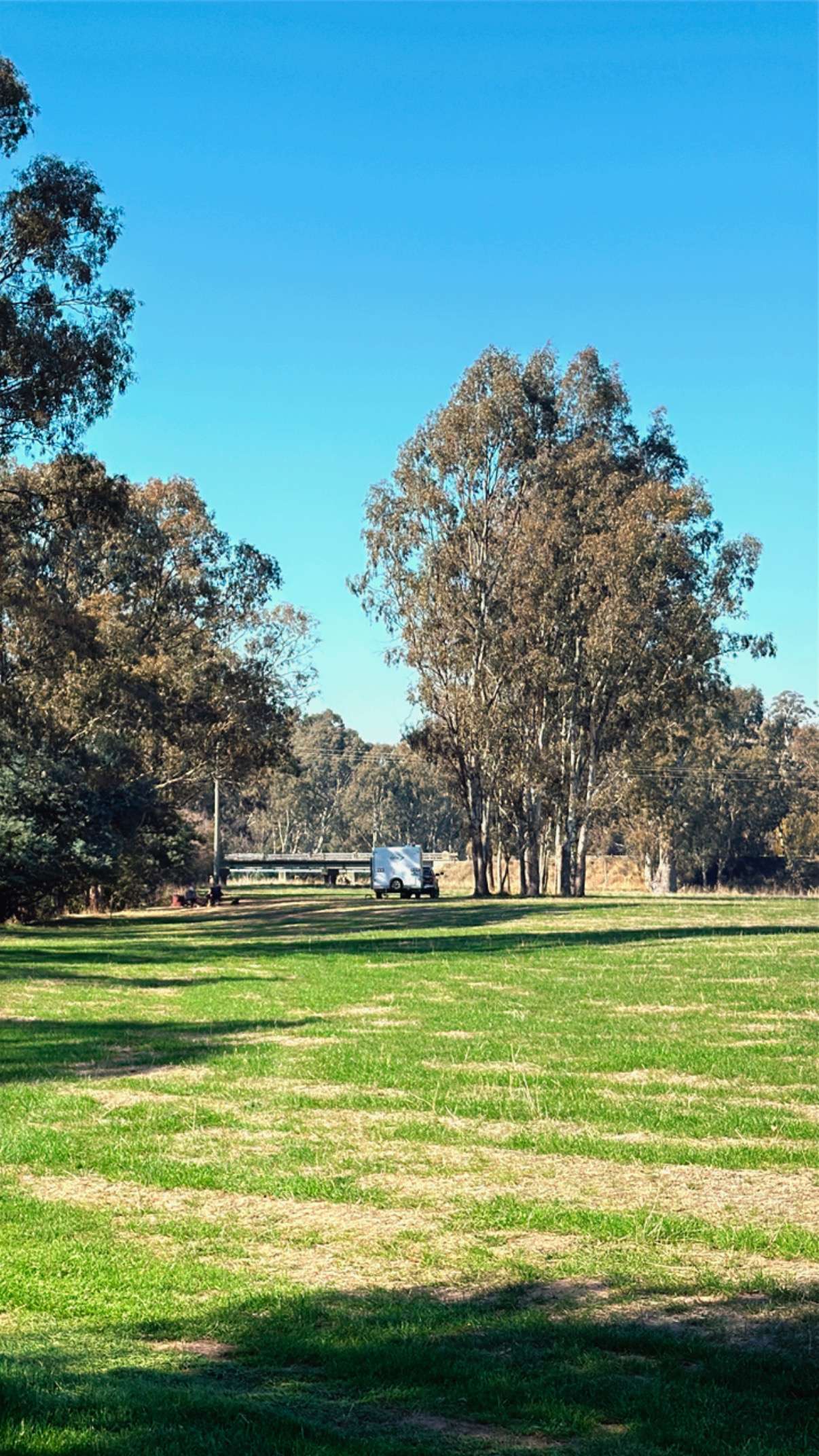 Riverside Goulburn River