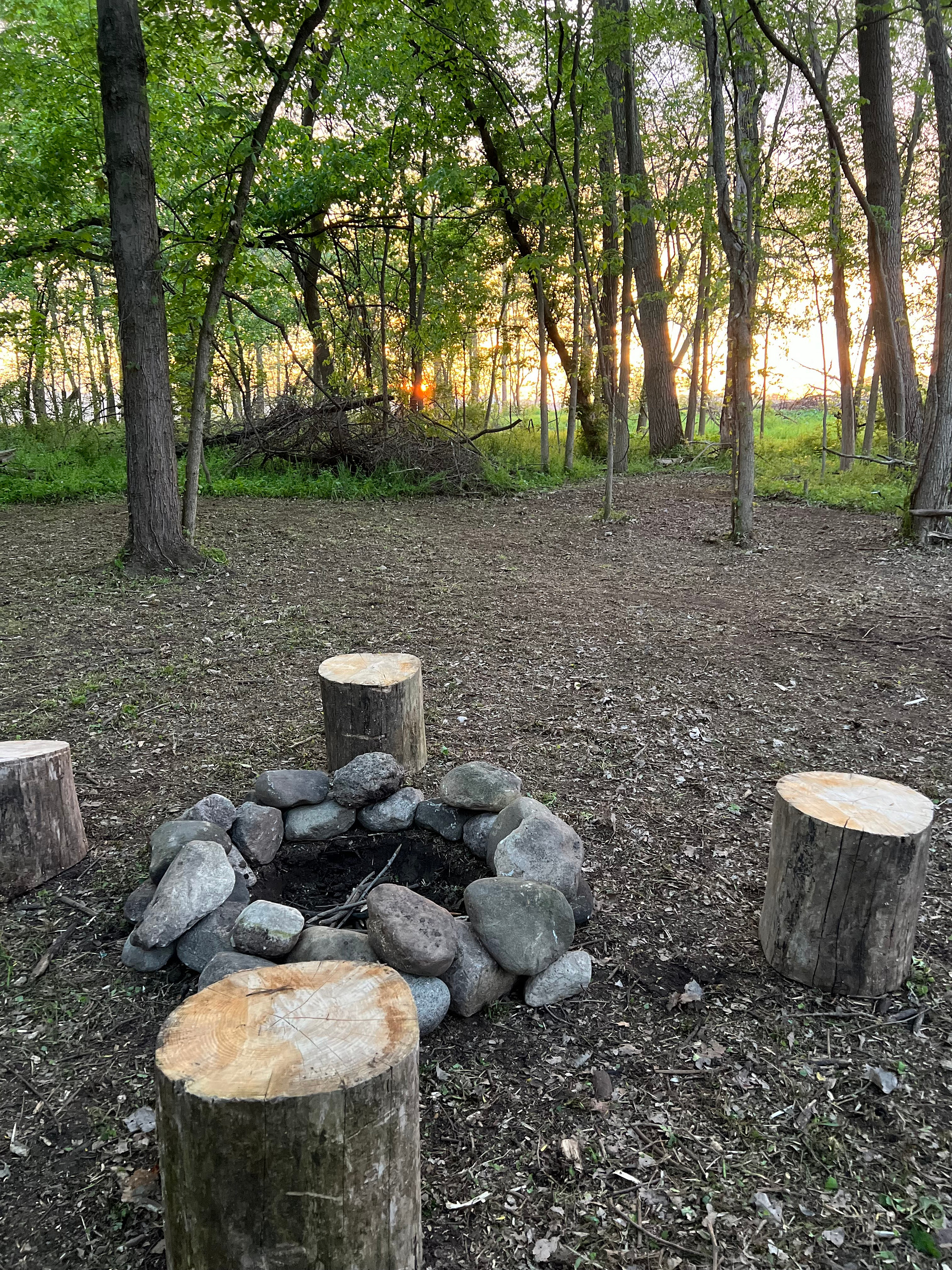Wrenhaven Woods - Trails & Solitude