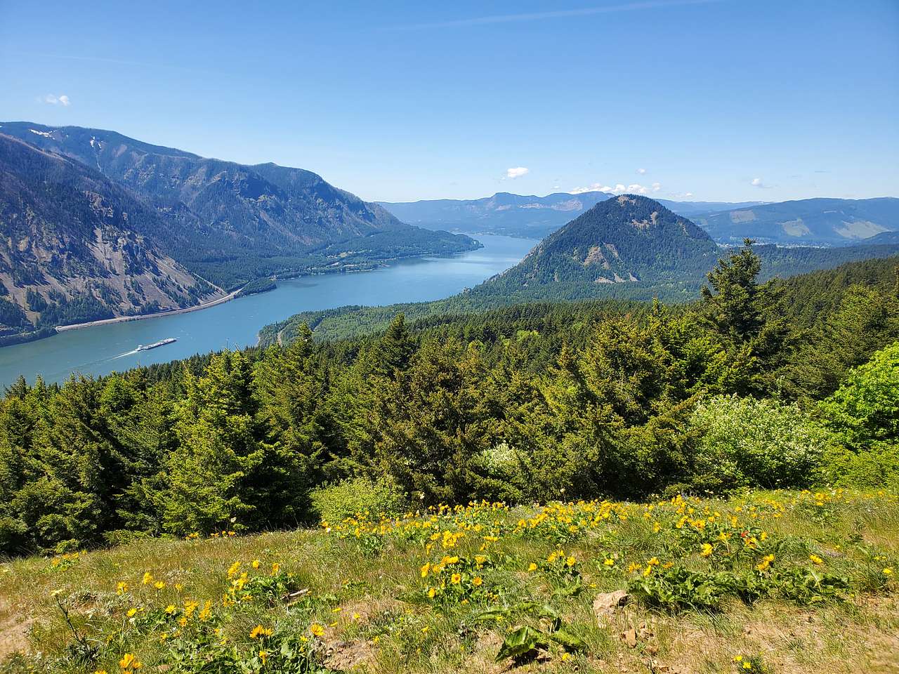 Dog and Wind Mountain RV Park