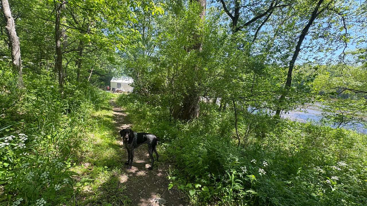 Riverhouse Farm
