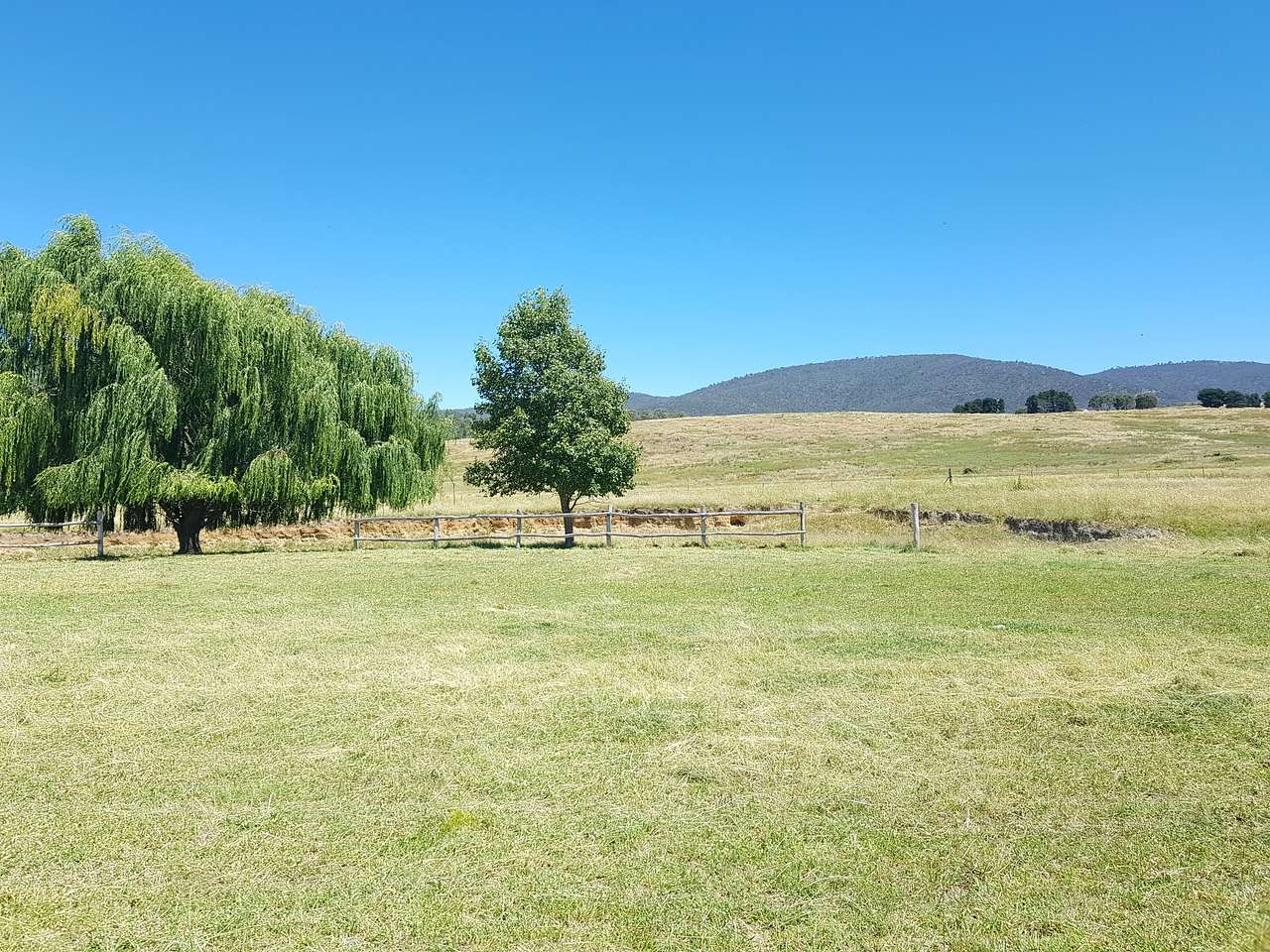 Swan Farm