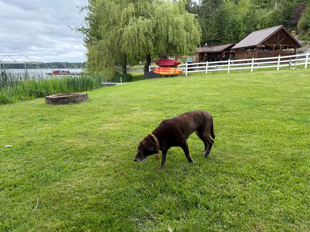 Better to Wake at the Lake