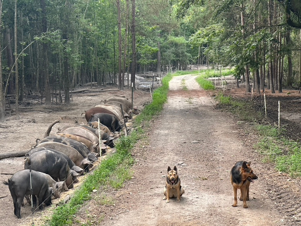 Whippoorwill Farms SC