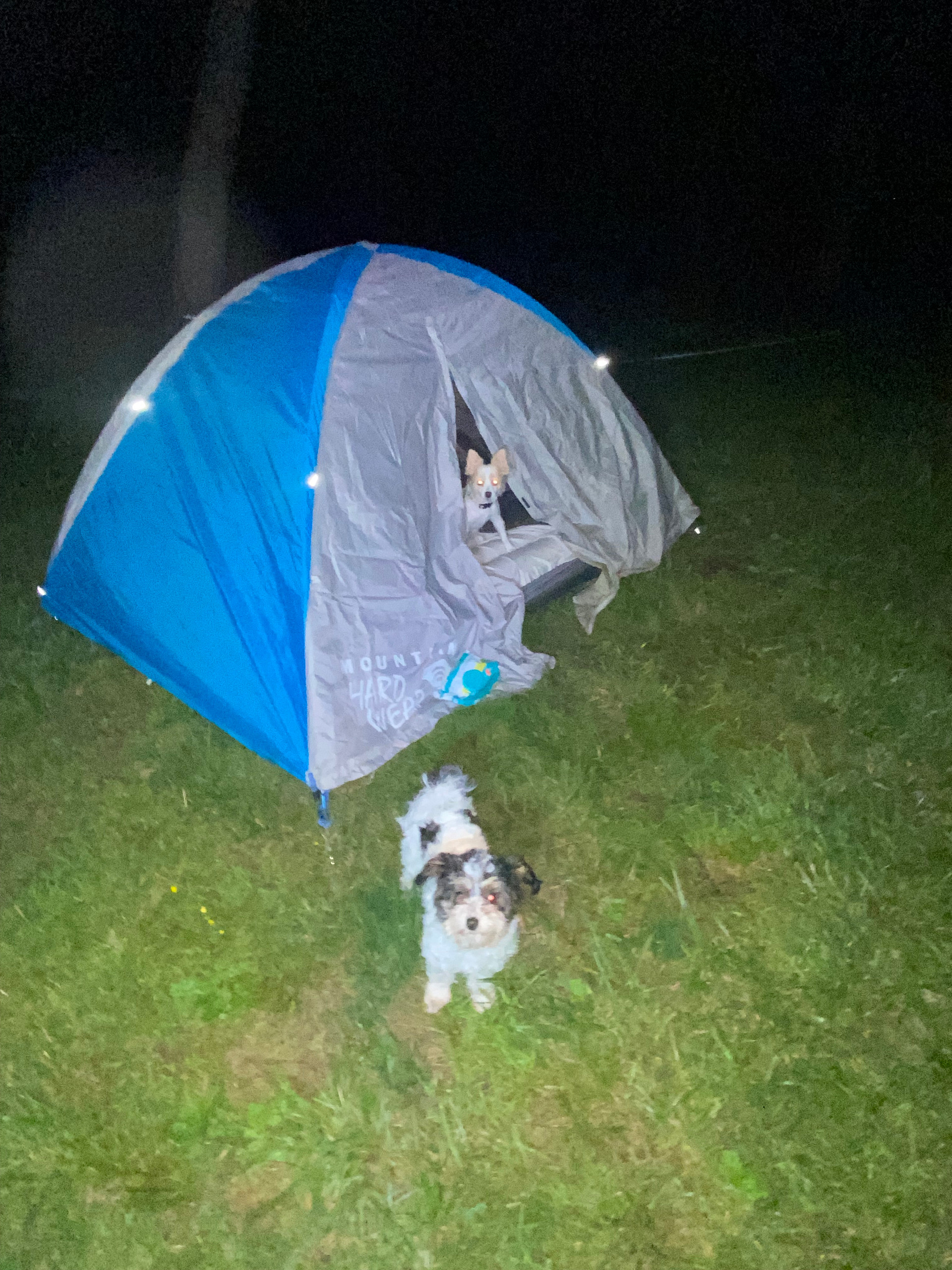 Ready for Nite Nite!