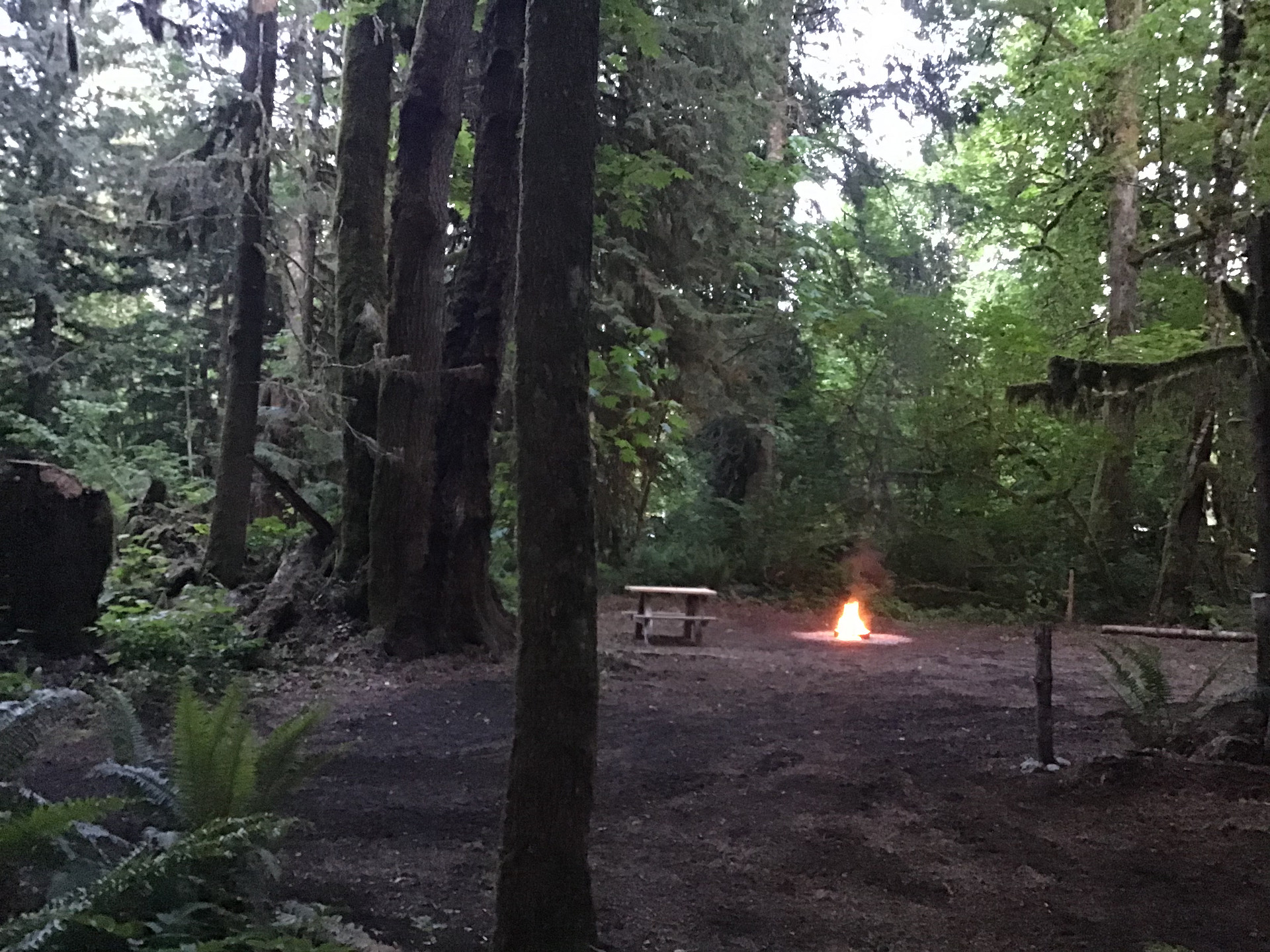 Camp site 4 is one of our larger spots for bigger vehicles.
