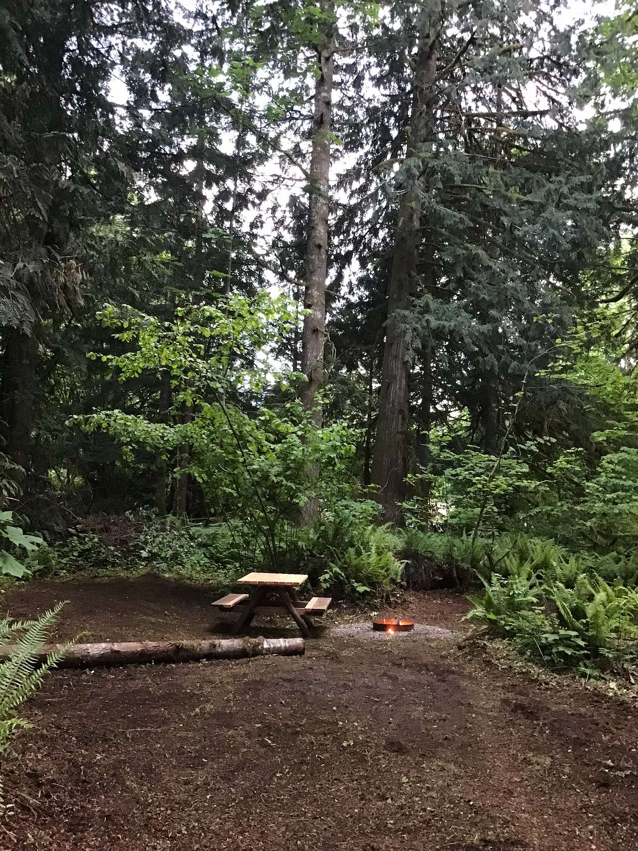 Camp site #3
