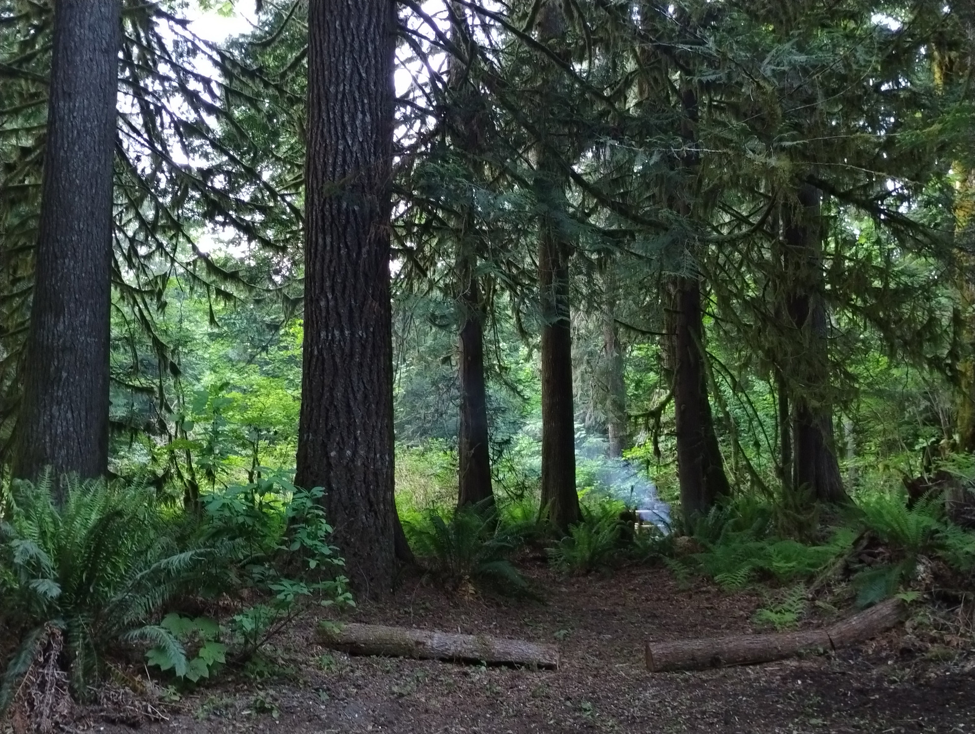 Camp site #2