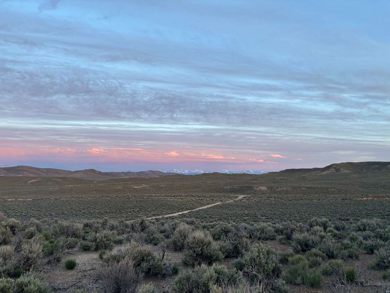 Ethereal Ranch