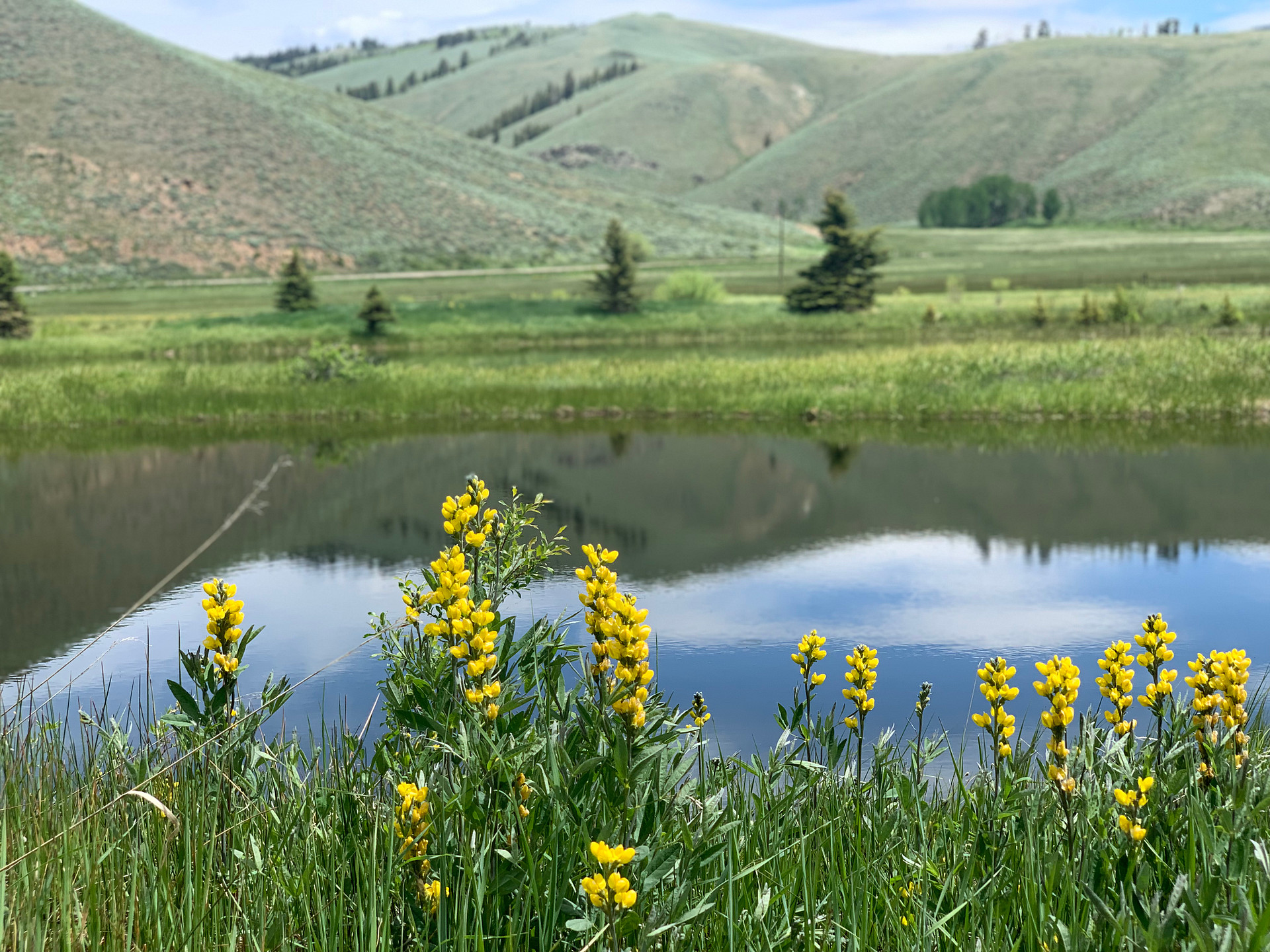 The Gold Links Ranch