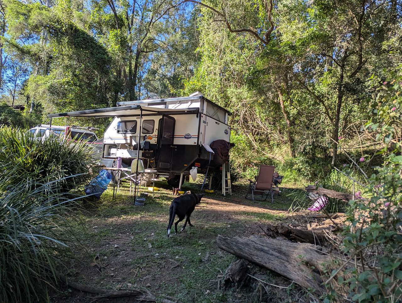 Bellbird Lodge