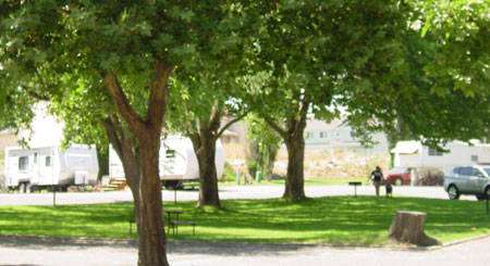 Desert Gold Motel & RV Park