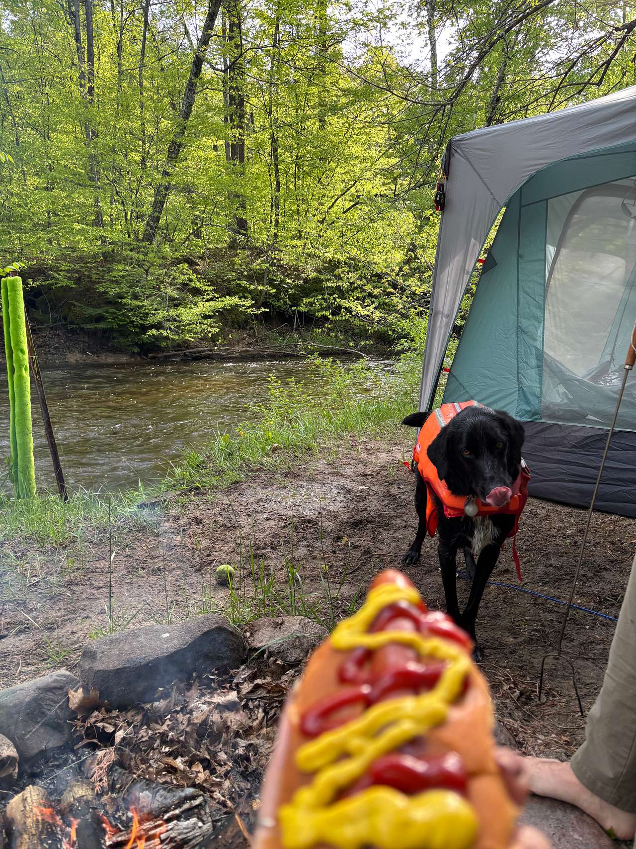 Riverfront Escape at Brookhollow
