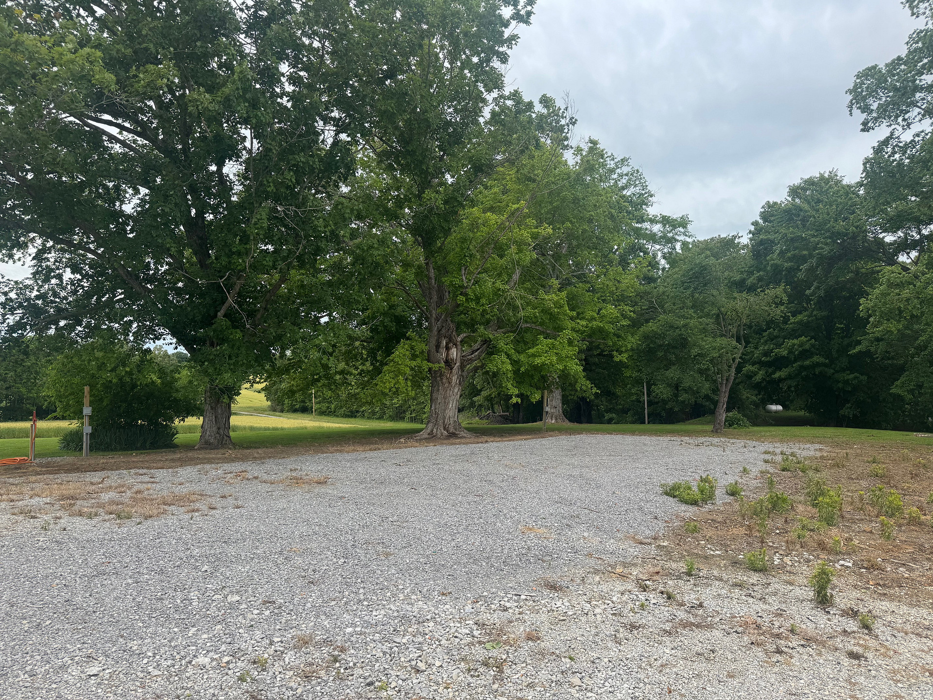 Meadow Ridge Farm