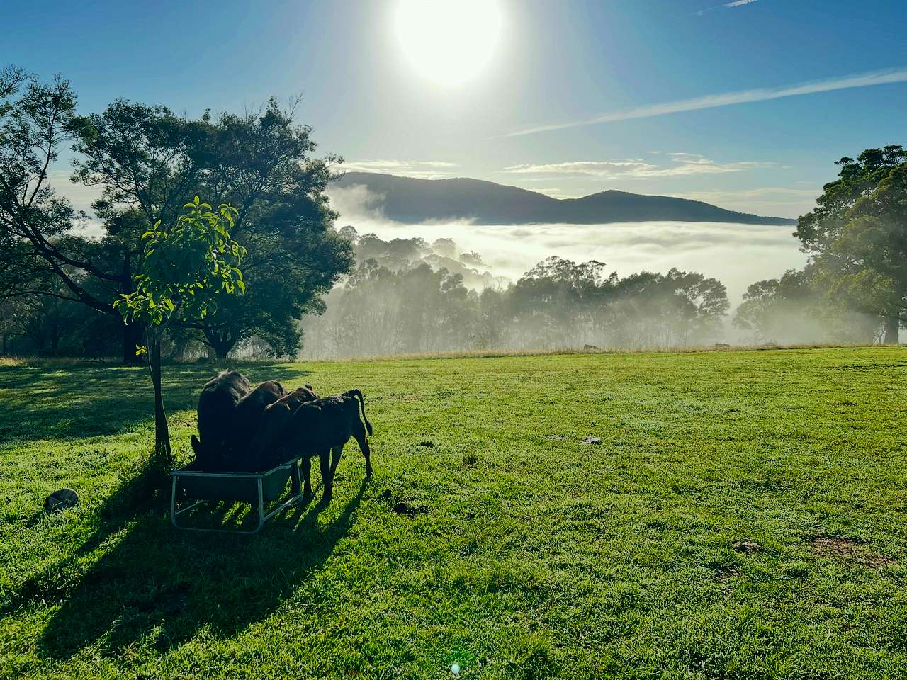 You’re welcome to wander around and explore the farm.