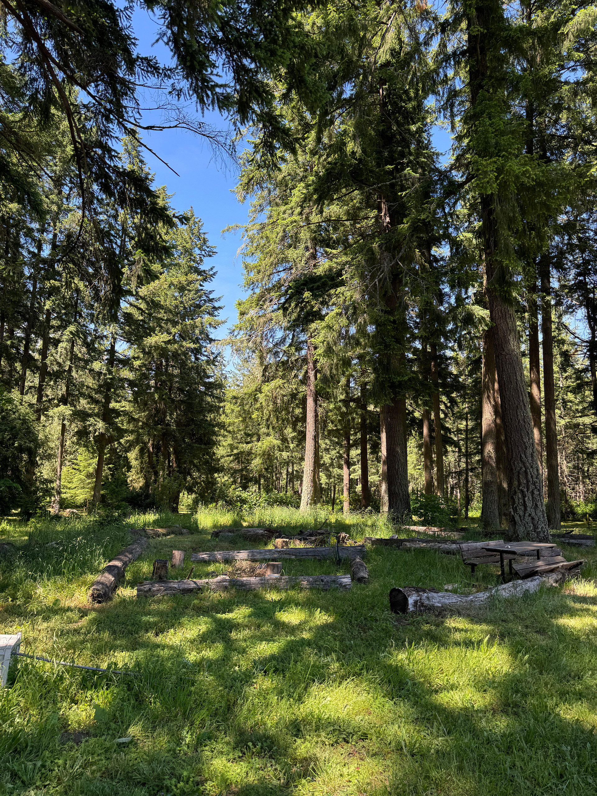 The large communal fire pit.