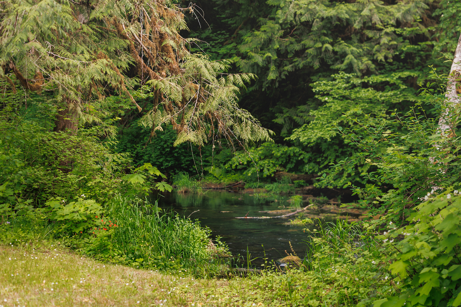 Creekside Retreat At Triangle Lake