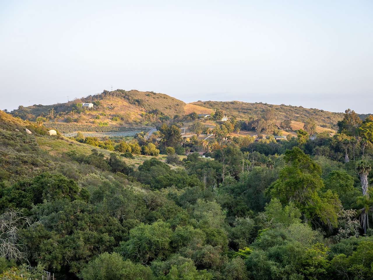 sunset view near the top of the hill