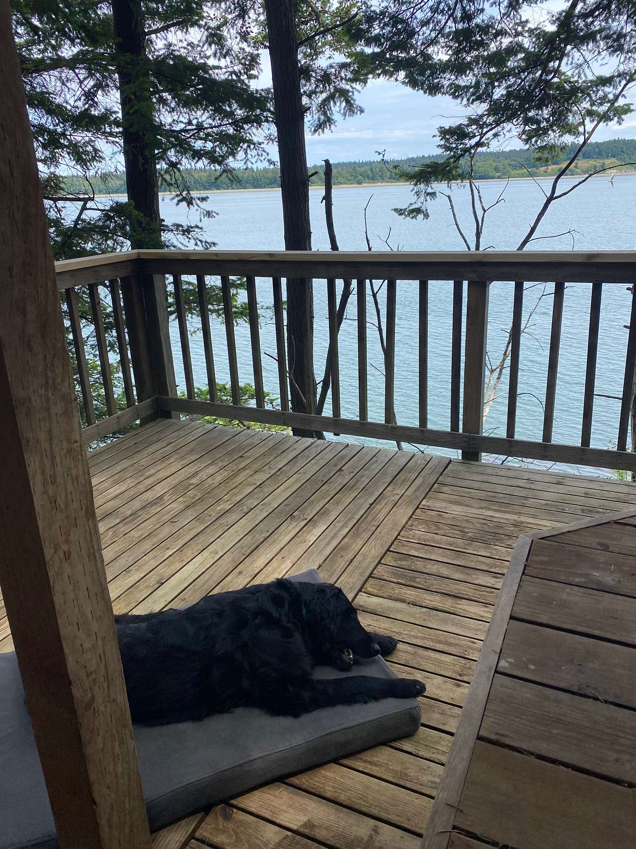 Sunrise Gazebo
