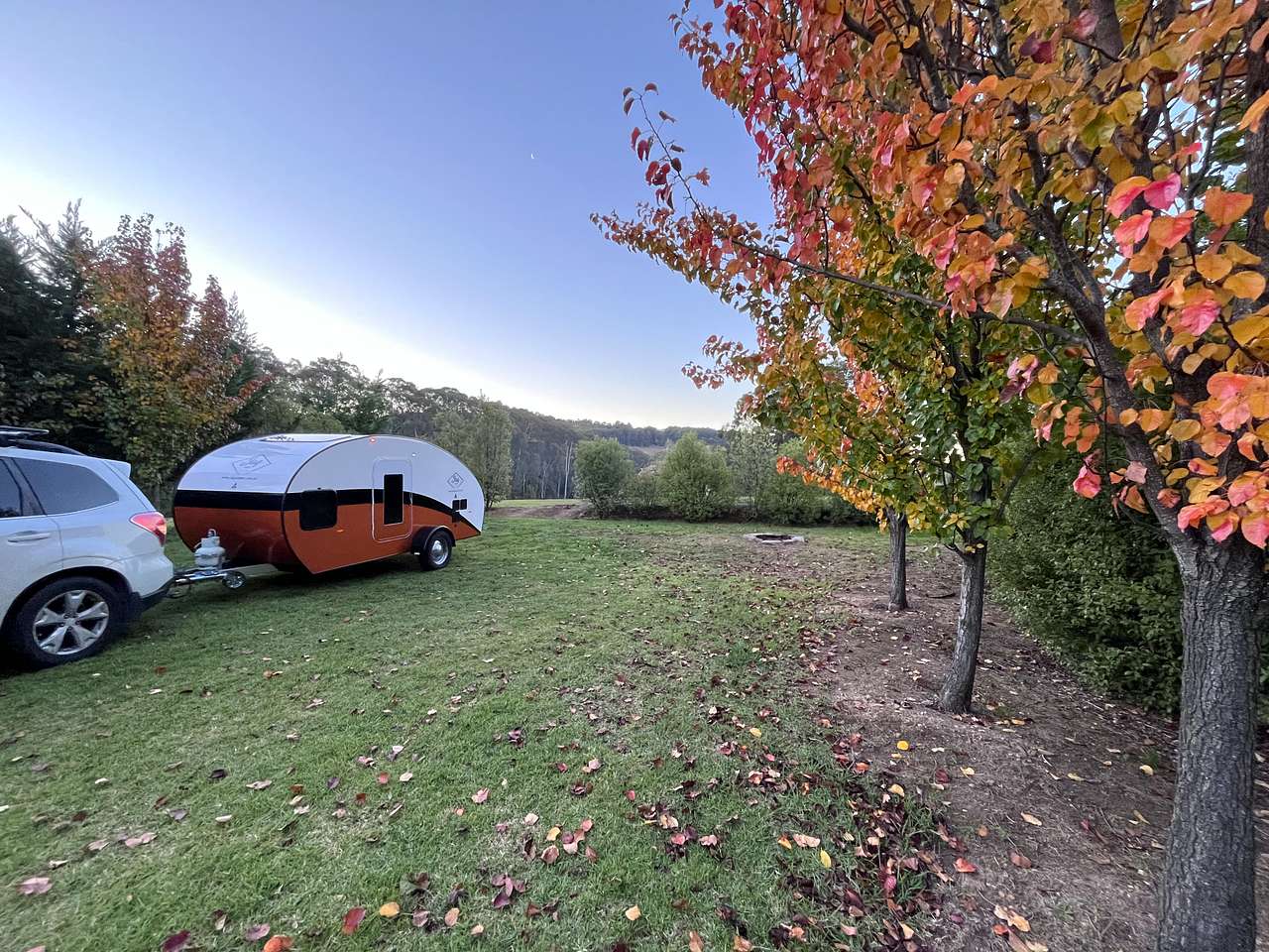 Stone’s Summertown Cherry Farm