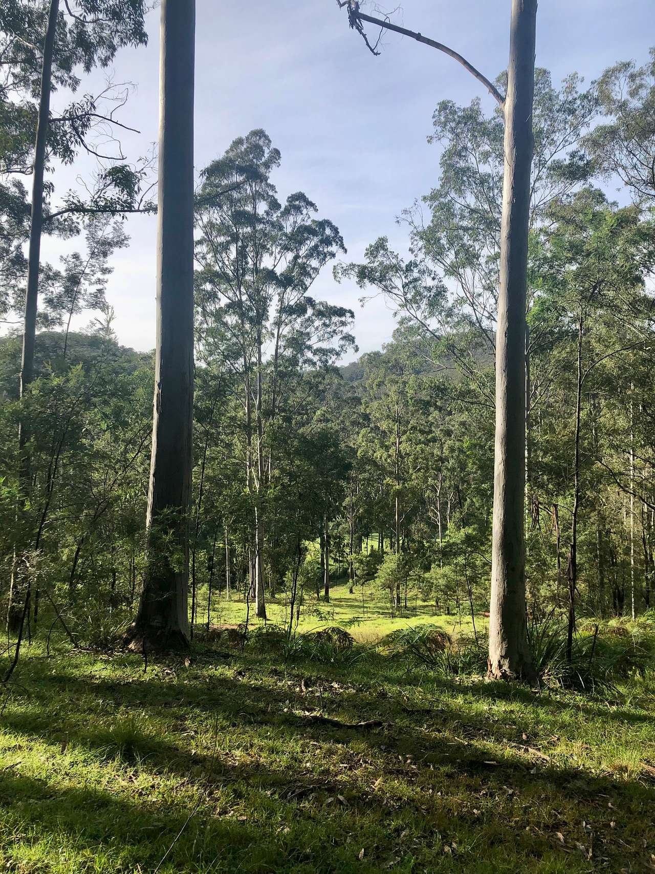 Tanglewood Bush Camp - Putty NSW