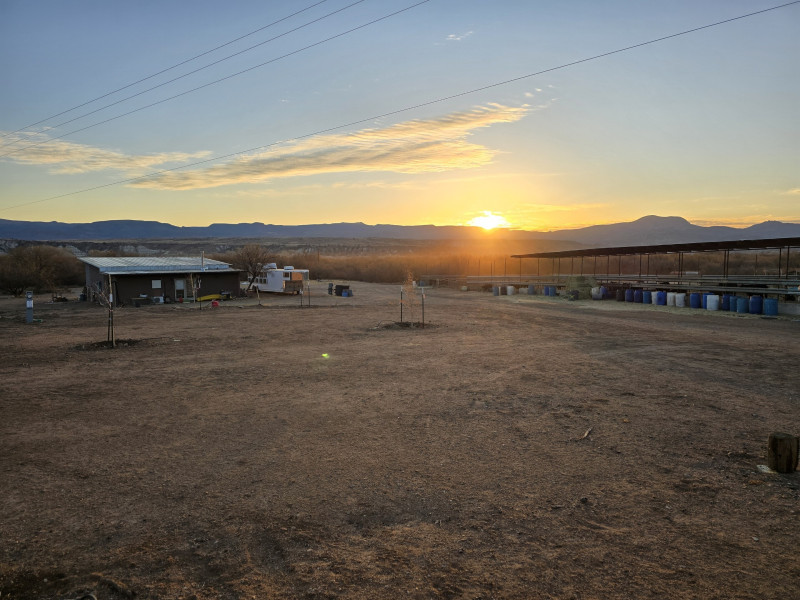 Working Cattle Ranch