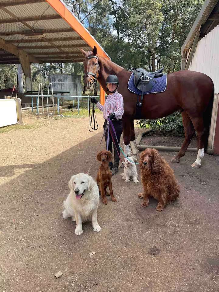 Hunter Valley Equestrian Centre