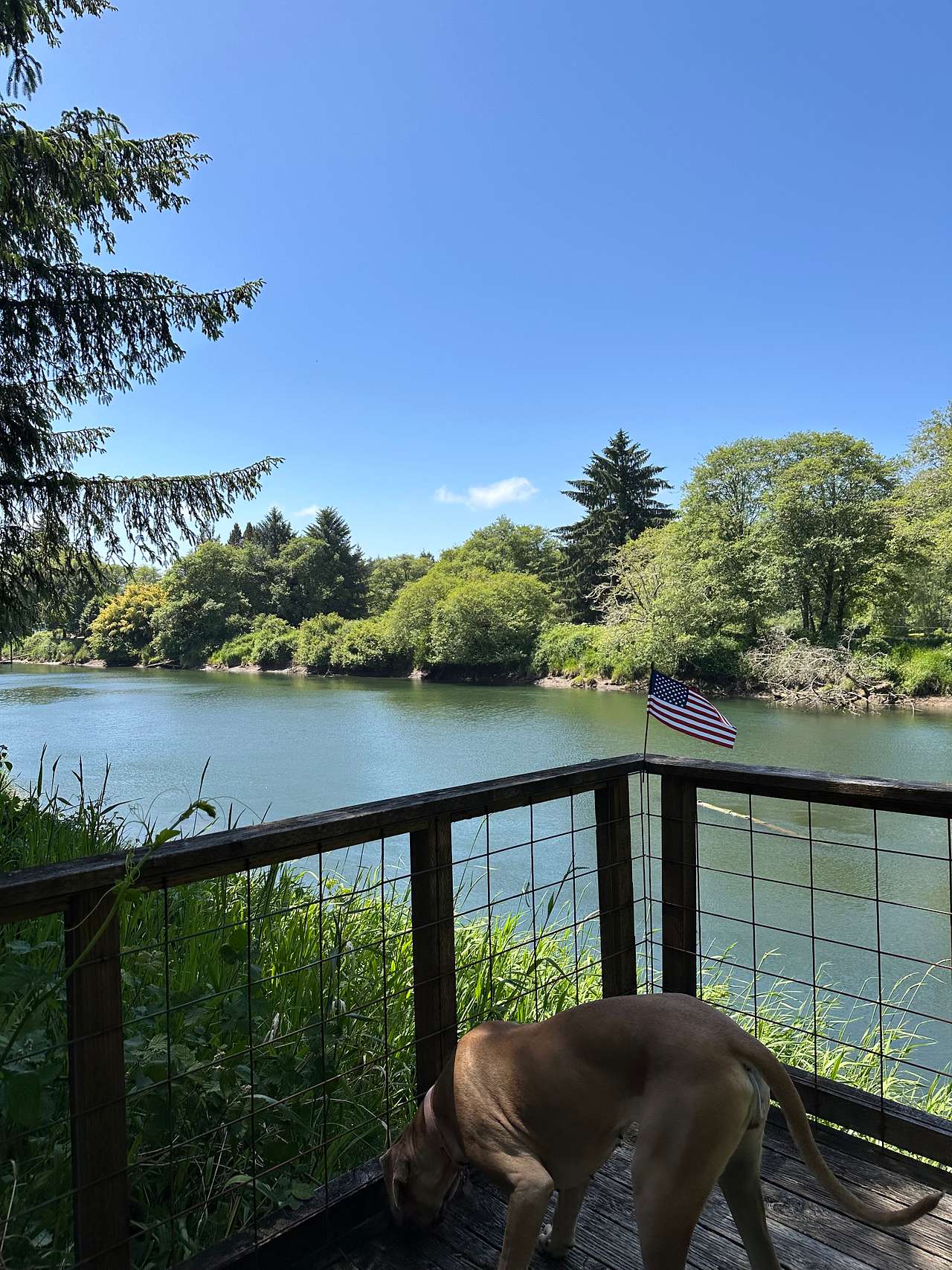 Riverfront Siletz Camp